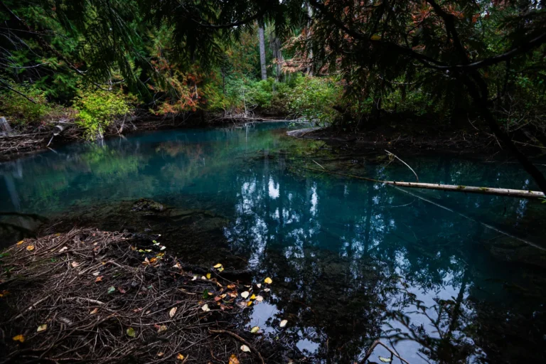 resealing a grant of probate in British Columbia